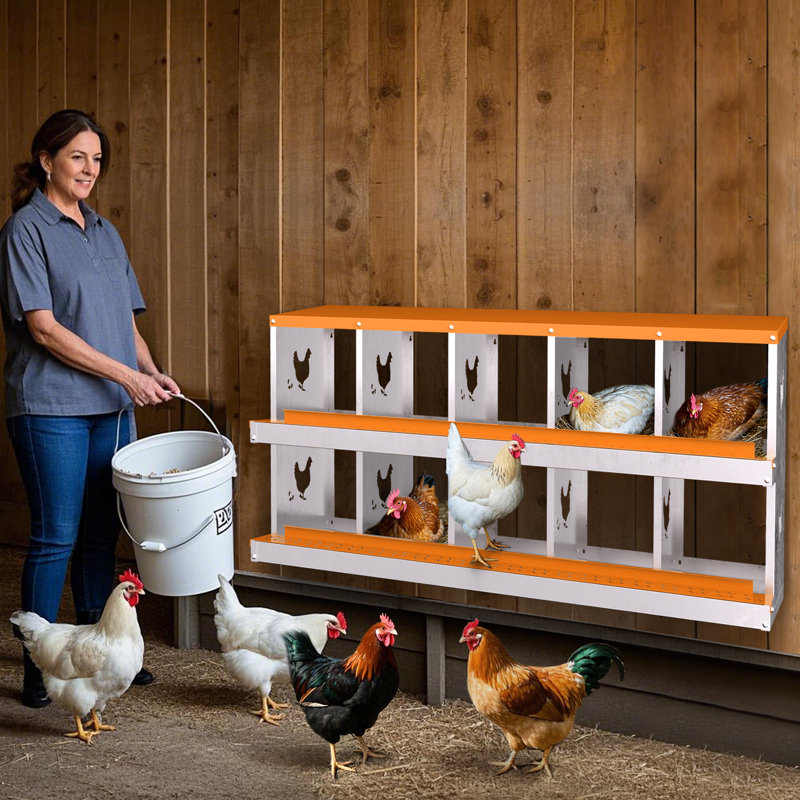 Boîte de nidification en métal pour poules pondeuses, H 26,57 po x l 53,54 po x P 16,93 po, Orange