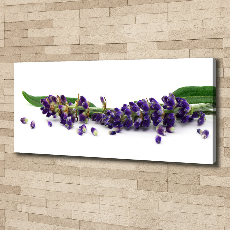 Lavender 1 Piece Wrapped Canvas Wall Art