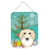 Longhair Dachshund (Cream)