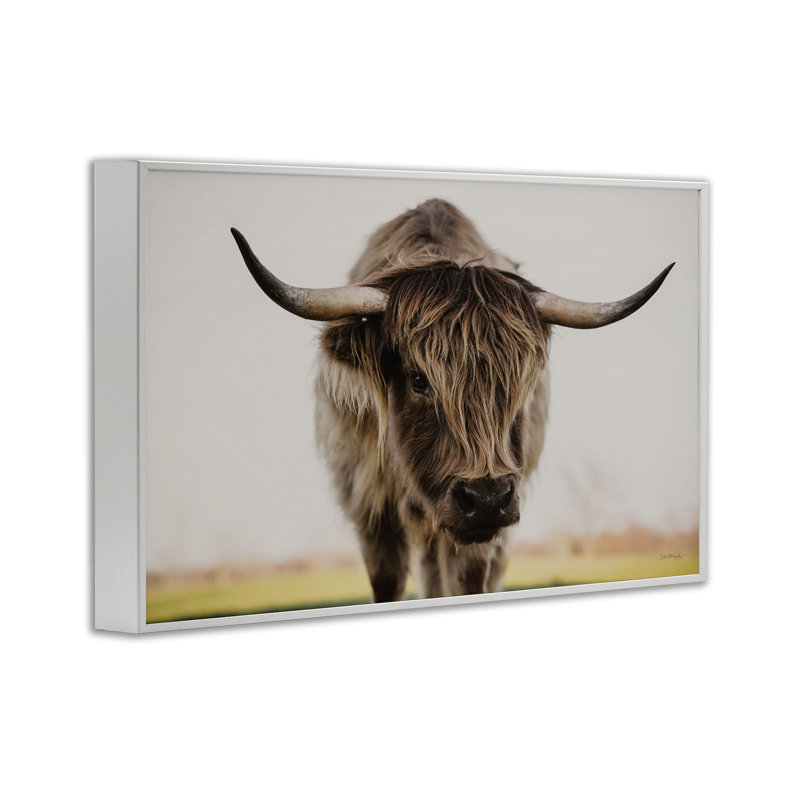 «Longhorn with Piercing Gaze», estampe numérique, conception de Dakota Diener, H 20 po x l 30 po