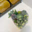 Pots à ciment en forme de cœur de 7,5 po en forme de L pour plantes, pot à fleurs en béton