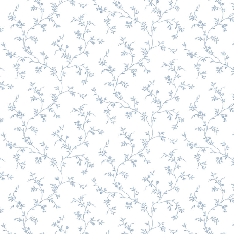 Sayette Roll, Bleu marine