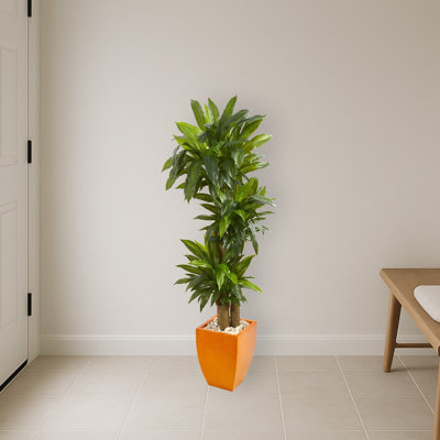 Dracaena Artificial Plant in Square Planter