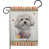 Bichon frisé