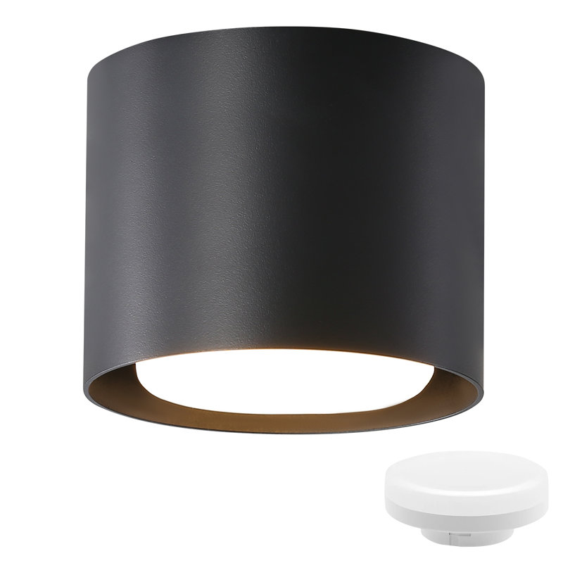 Wandstrahler, Matte black