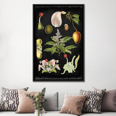«Study in Botany III», reproduction d'impression sur toile tendue