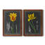 «Midnight Tulip», reproduction encadrée prémium-944445458-944282710-944282700