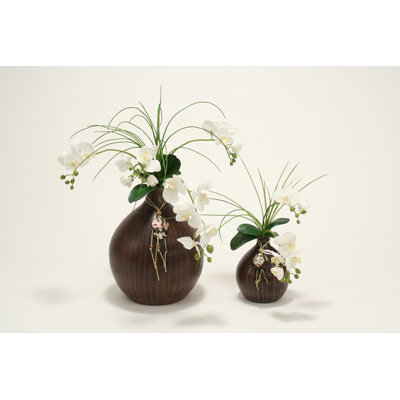 Ensemble de orchidées blanc 2 pièces dans un vase vigan