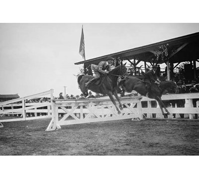 " Horse Show In Washington Dc Horses Jump Fence "