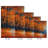 Autumn Light-1019640310
