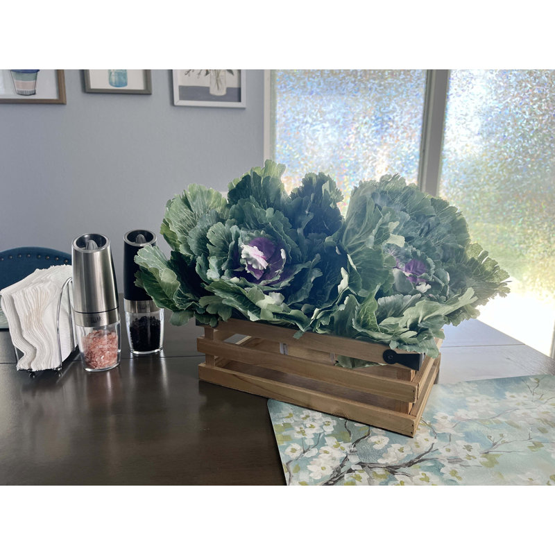 Plante de feuillage artificiel pour choux, 1