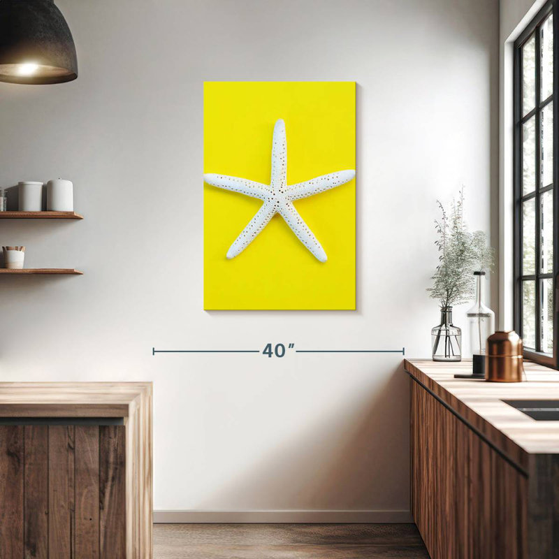Brampt White Sea Star, 36" H x 24" W