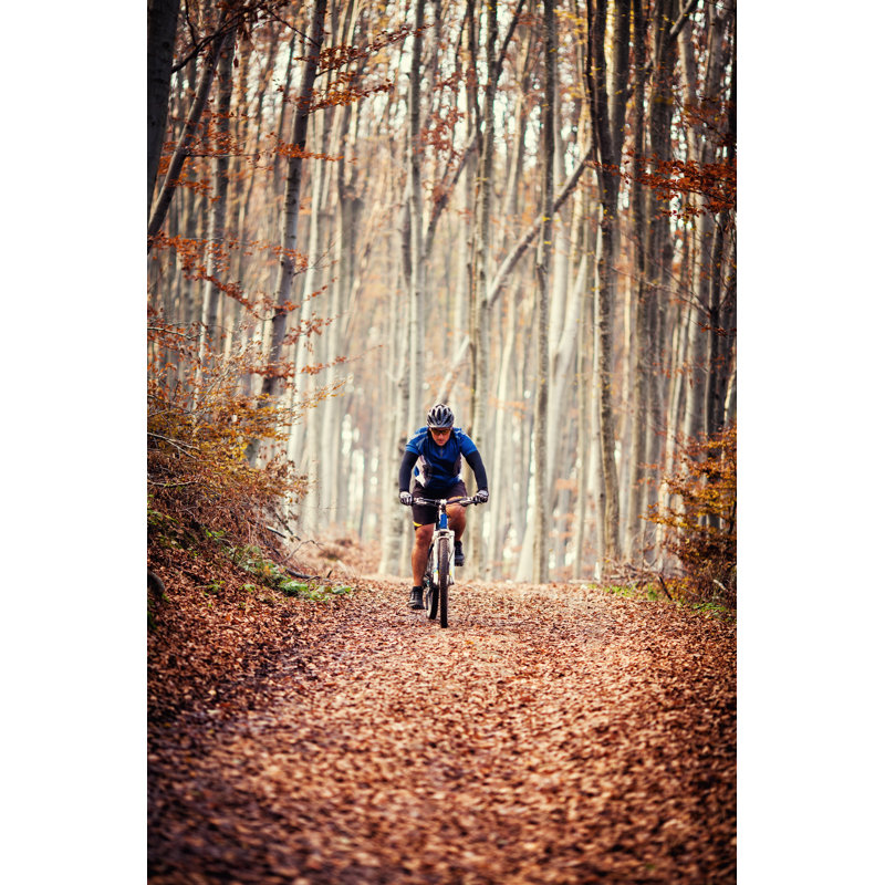 Forêt à l'automne par Miljko, H 36 po x l 24 po