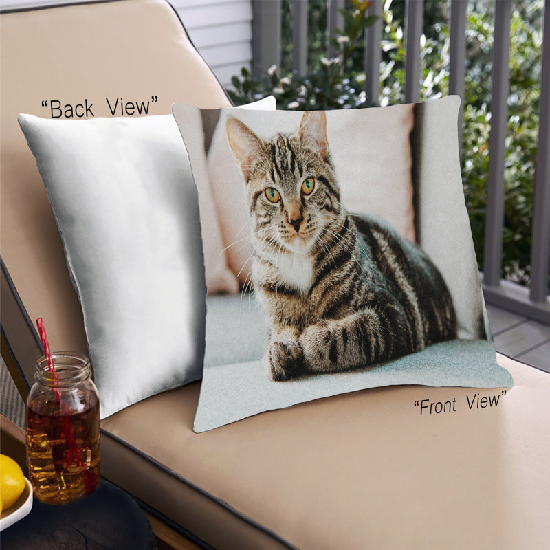 Coussin 28 chats, Microsuède