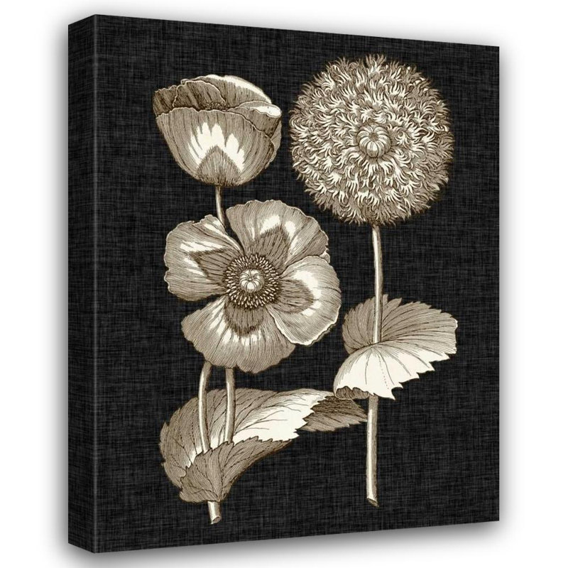 Art sur toile tendue Lark Manor ™ Vision Studio, titre: Dramatic Chintz III, H 47 po x l 36 po