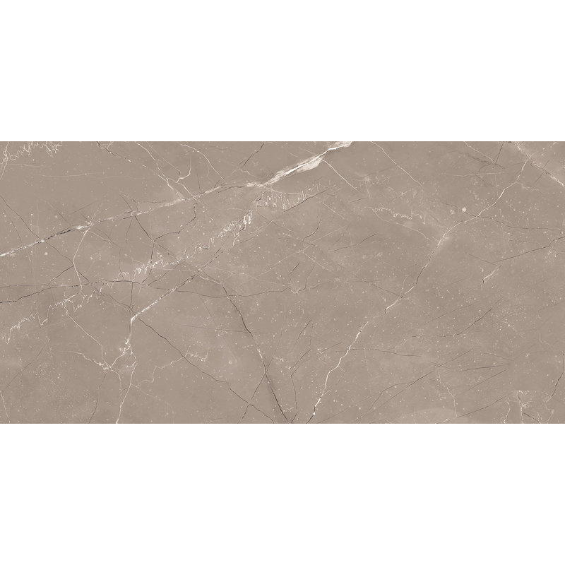 Kaia 12-in. x 24-in. Stone Look Matte Porcelain Wall & Floor Tile, Zoistra