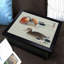 Breakfast Tray