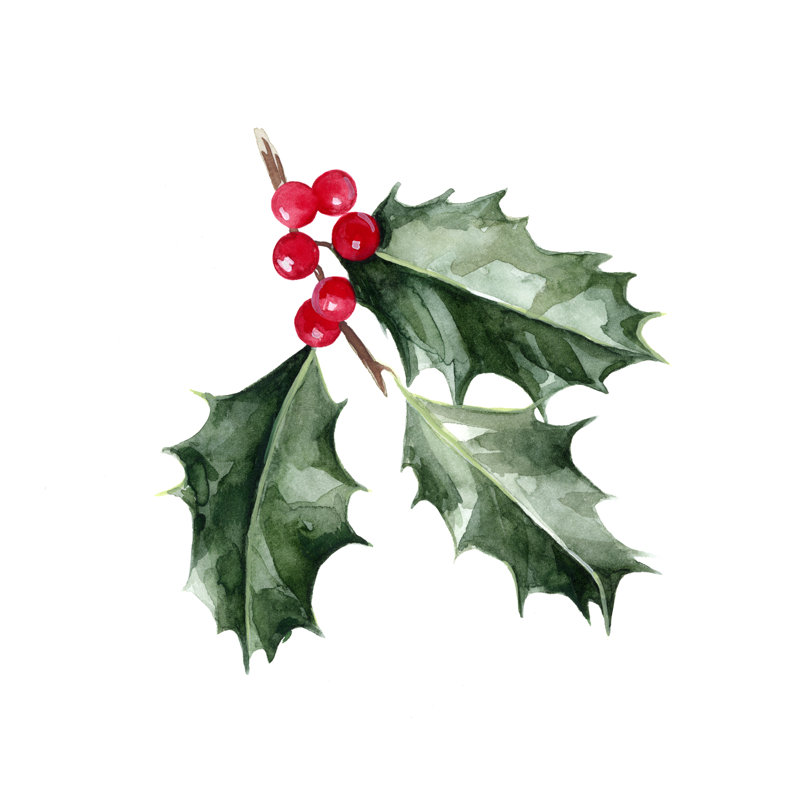 Christmas Holly I by Emma Scarvey - Wrapped Canvas Painting, 91cm H x 91cm W