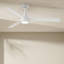 Hinkley Speck Ceiling Fan-1566314484-1566314485