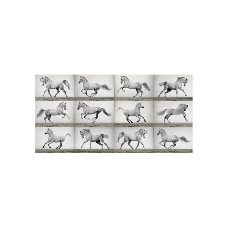 Horses In Motion Print by Sofia Fox, Knife Gel, 30" H x 60" W x 1.5" D