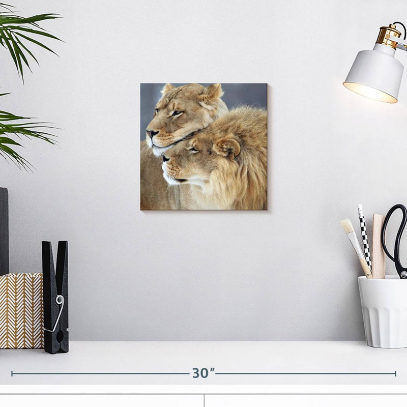 Amour de lion et de lionne Brampt, H 10 po x l 10 po
