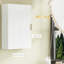 Armoire de salle de bain murale Trinece