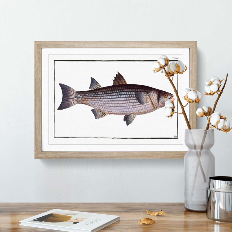 Mullet Fish by M.E. Bloch - Picture Frame Painting Print, Oak Framed, 27cm H x 36cm W x 2cm D