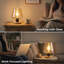 Wood Desk Lamp