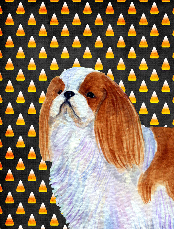 Drapeau de jardin brûlé bonbon d'Halloween à 2 côtés, Épagneul cavalier King Charles