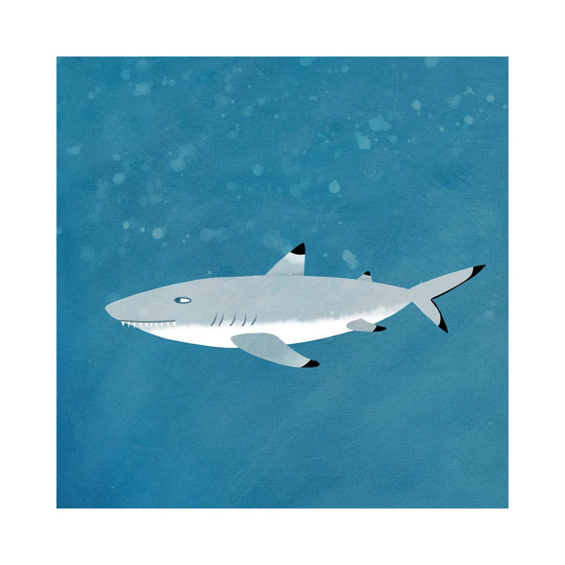 Black Tipped Reef Shark by Nic Squirrell - Wrapped Canvas Gallery-Wrapped Canvas Giclée, 66.04cm H x 66.04cm W