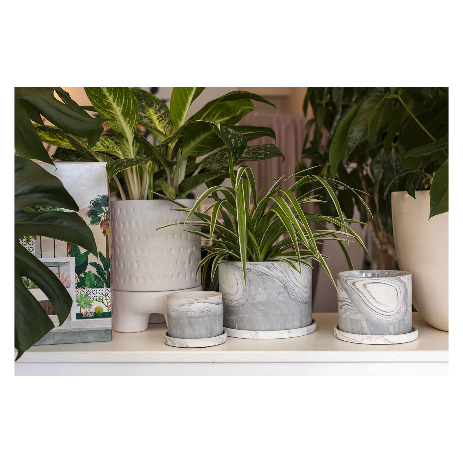 Marengo Pot 5.5"x 4.25"