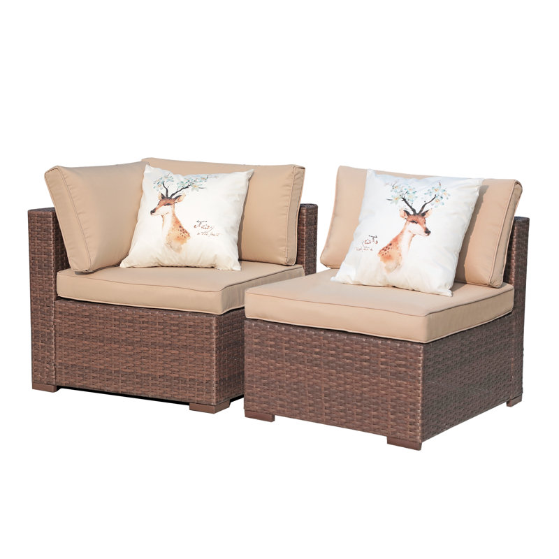 25.6'' Wide Wicker Loveseat with Cushions