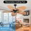 Ventilateur de plafond 52 pouces Tropical
