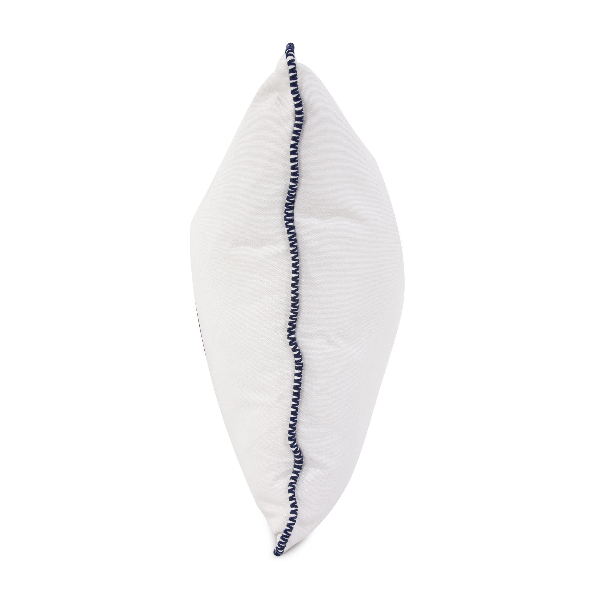 Delijah Sunbrella® Indoor/Outdoor Throw Pillow, Seascape Natural, 20" x 20"