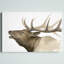 «Seppe Call of the Elk II», reproduction d'art sur toile-91716382