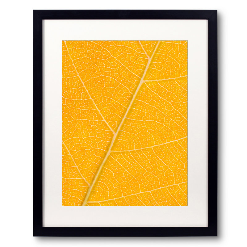 Autumn Leaf Print by Philippe Monthoux, Black Framed Paper, Orange, 32" H x 24" W