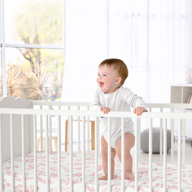 Drap-housse pour lit de bébé Botanical Blush Pink par Sweet Jojo Designs