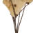 0.25'' Plant