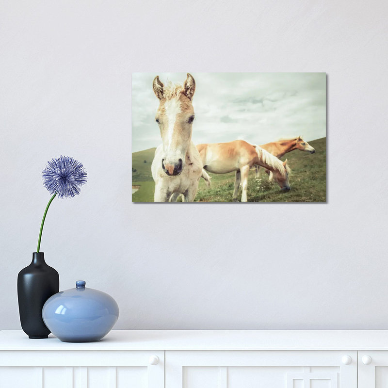 Three Buddies 1 Piece Wrapped Canvas Painting, 30.48 cm H x 45.72 cm W