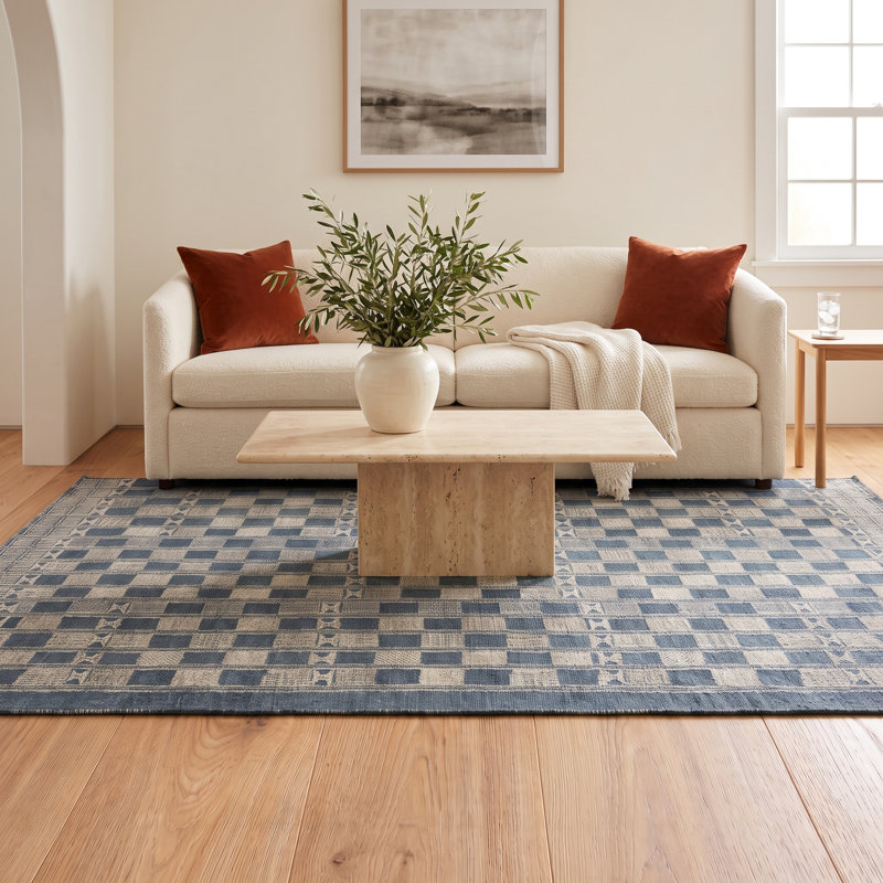 Homer Machine Woven Checkered Indoor Outdoor Area Rug, Rectangle 6'7" x 9'4"