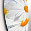 Ensemble de 3 décorations murales Daisy Hearts