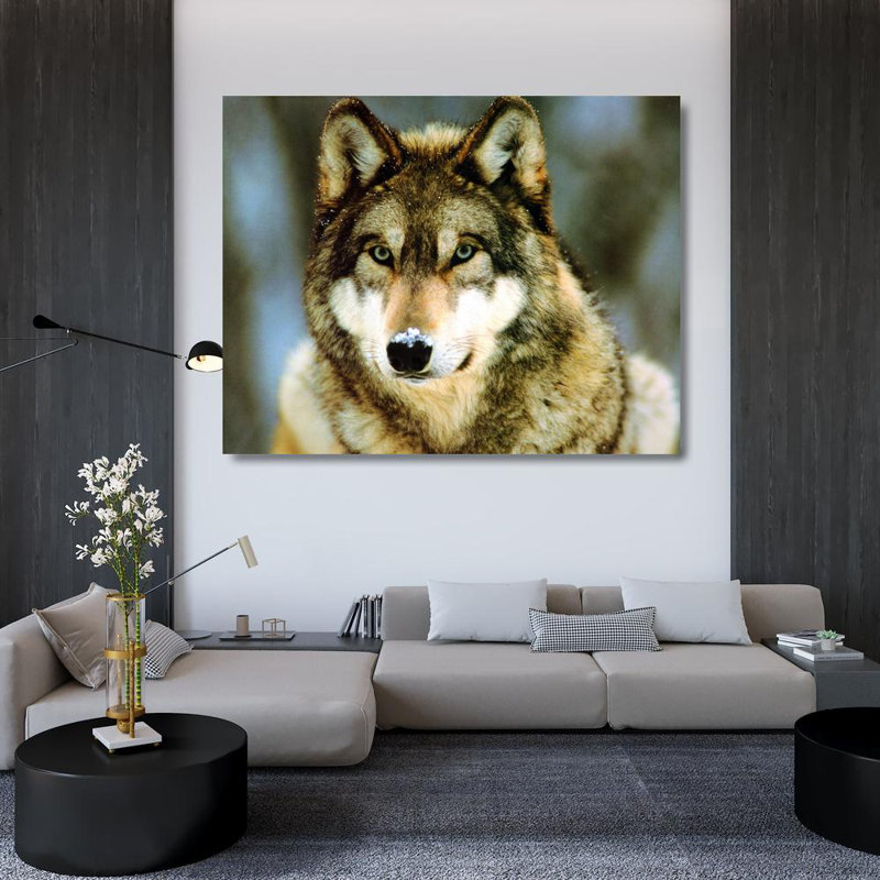 Loup gris, H 36 po x l 46 po