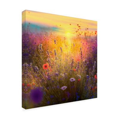 «Landscape Flowering Fields 1» sur toile