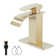 Single-Hole Single-handle Bathroom Faucet with Drain Assembly
