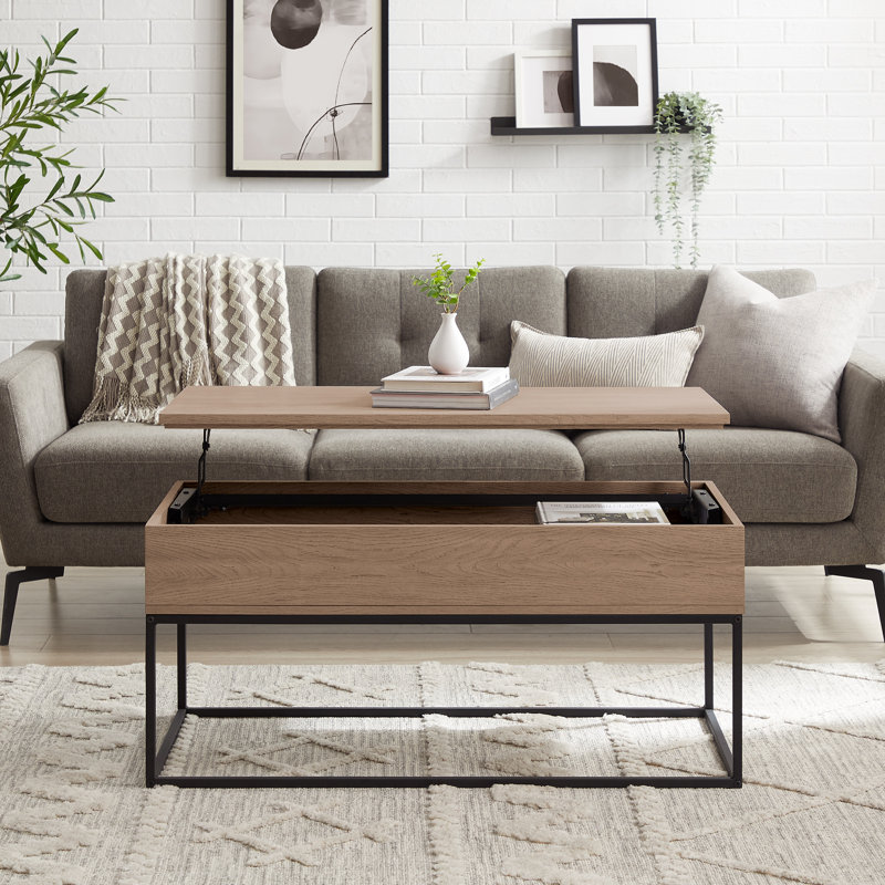 Stoltz 40" Lift Top Coffee Table with Storage, Smoked Oak