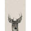 'Mischievous Deer' Canvas Art-878943815