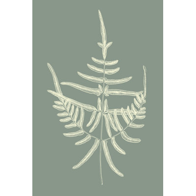 Ferns on Sage I by Vision Studio - Painting Print