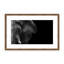 Nature Inspired Elephant by  - Picture Frame Photograph on Paper-81386946-131298013-131298023
