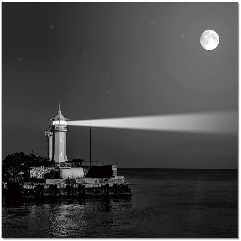 Unframed Photograph