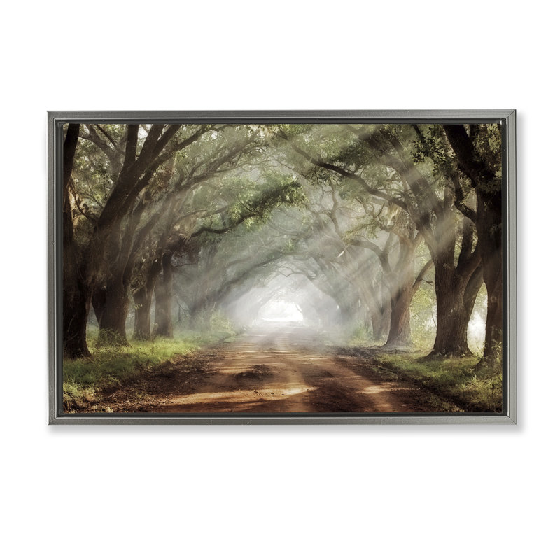 Cadre flottant Sunlit Evergreen Grove, design par Mike Jones, H 17 po x l 25 po, Cadre flottant gris lustré